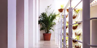 Casa Blanca Boutique Cartagena